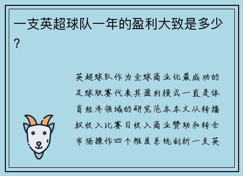 一支英超球队一年的盈利大致是多少？